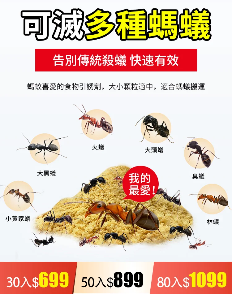 【銷量第一】滅蟻殺蟲餌劑