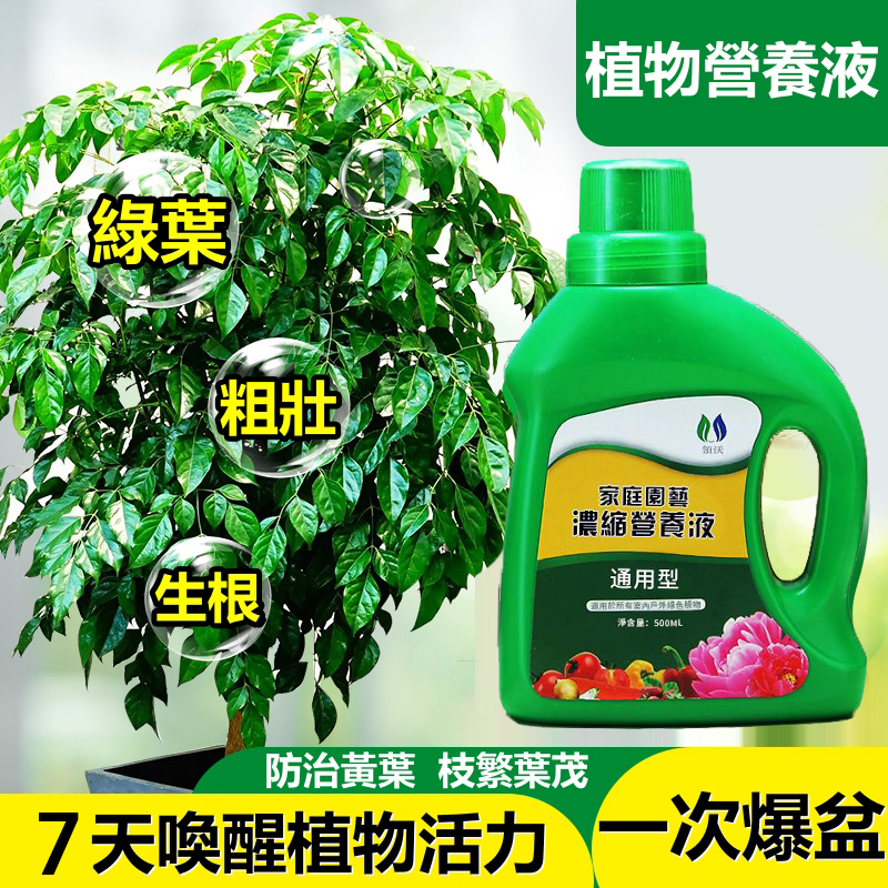 【節日豪禮特惠限時贈送三件套盆栽小鏟子】通用型 家用植物營養液，無效退全款！【限時免運費，貨到付款】