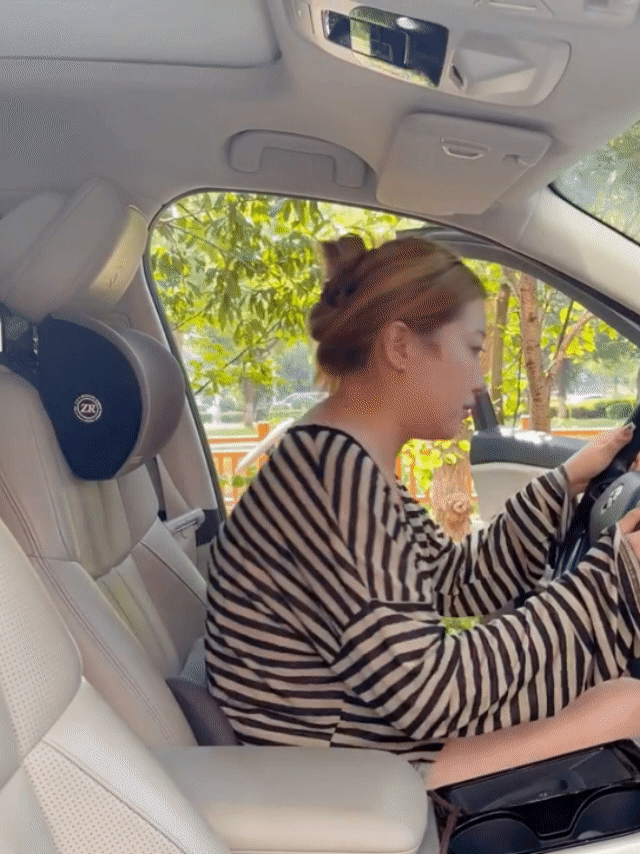 1733437107731228.gif 173336281969129861.gif